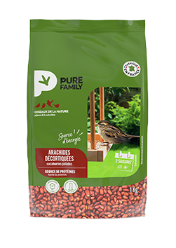 Les graines : arachides décortiquées