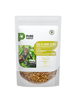 Vers de farine séchés