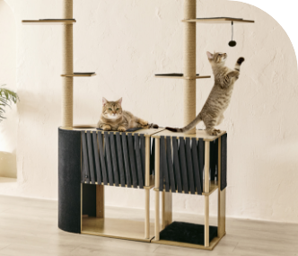 <p>L’EXCLUSIVITÉ<br />
à ne pas manquer !</p>
