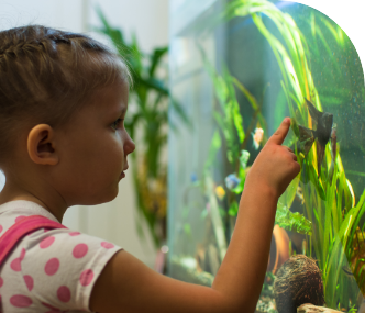 <p>BIEN-ÊTRE &<br />
conseils du moment</p>
