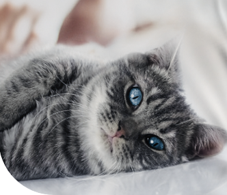 <p>Les OFFRES<br />
qu’on aime</p>
