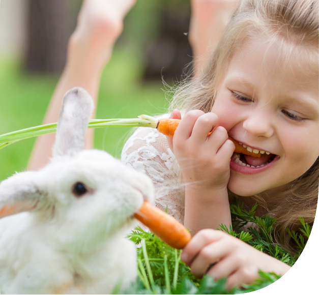 Bien être du lapin nain